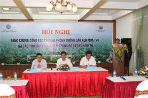Conference “Prevention of Acacia autumn pests harmful to corn in the provinces of South Central Coast and Central Highlands”